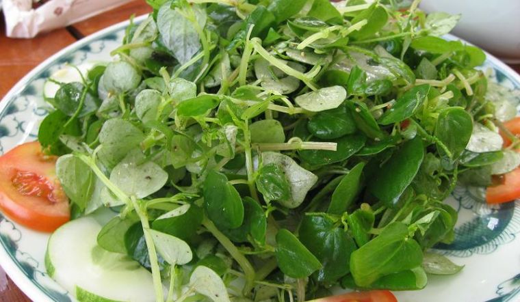 Rau này là "thuốc hạ đường huyết tự nhiên", chứa chất tiêu diệt tế bào ung thư: Dù giá đắt hơn thịt vẫn nên mua  - Ảnh 1.