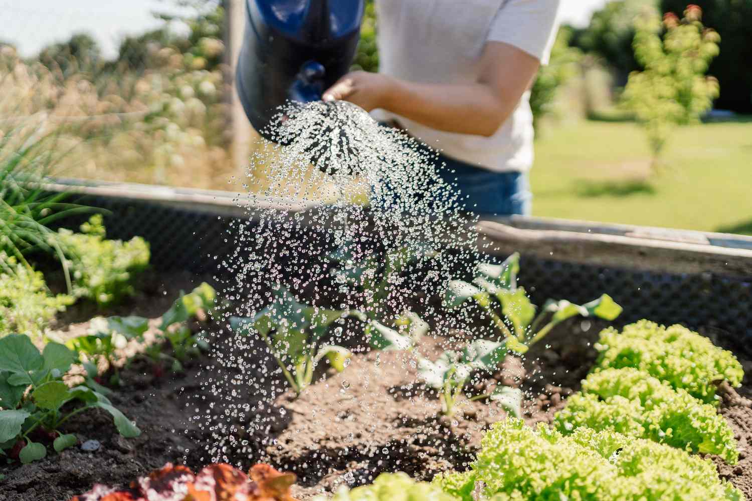 Không phải đi bộ, hãy học những người sống thọ nhất thế giới làm điều này để ngủ ngon và sống lâu hơn- Ảnh 5. Không phải đi bộ, hãy học những người sống thọ nhất thế giới làm điều này để ngủ ngon và sống lâu hơn- Ảnh 5.
