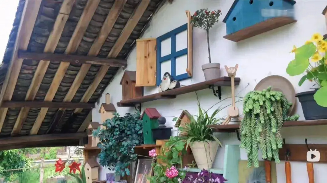 Rời bỏ thành phố, cặp vợ chồng về quê thuê 1 căn nhà cũ và cải tạo lại, sống một cách thảnh thơi- Ảnh 9. Rời bỏ thành phố, cặp vợ chồng về quê thuê 1 căn nhà cũ và cải tạo lại, sống một cách thảnh thơi- Ảnh 9.