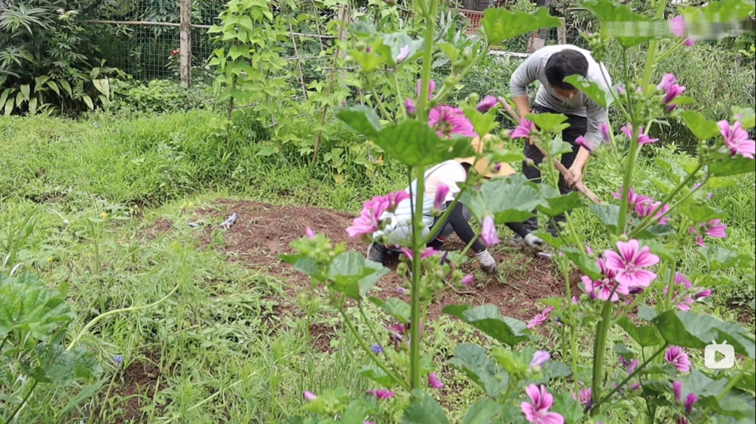 Rời bỏ thành phố, cặp vợ chồng về quê thuê 1 căn nhà cũ và cải tạo lại, sống một cách thảnh thơi- Ảnh 15. Rời bỏ thành phố, cặp vợ chồng về quê thuê 1 căn nhà cũ và cải tạo lại, sống một cách thảnh thơi- Ảnh 15.