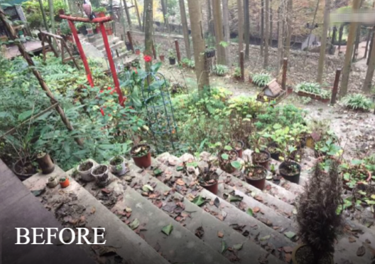 Rời bỏ thành phố, cặp vợ chồng về quê thuê 1 căn nhà cũ và cải tạo lại, sống một cách thảnh thơi- Ảnh 4. Rời bỏ thành phố, cặp vợ chồng về quê thuê 1 căn nhà cũ và cải tạo lại, sống một cách thảnh thơi- Ảnh 4.