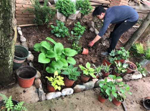 Rời bỏ thành phố, cặp vợ chồng về quê thuê 1 căn nhà cũ và cải tạo lại, sống một cách thảnh thơi- Ảnh 3. Rời bỏ thành phố, cặp vợ chồng về quê thuê 1 căn nhà cũ và cải tạo lại, sống một cách thảnh thơi- Ảnh 3.