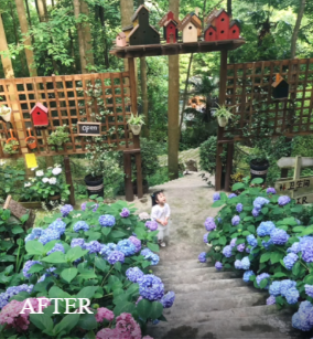 Rời bỏ thành phố, cặp vợ chồng về quê thuê 1 căn nhà cũ và cải tạo lại, sống một cách thảnh thơi- Ảnh 5. Rời bỏ thành phố, cặp vợ chồng về quê thuê 1 căn nhà cũ và cải tạo lại, sống một cách thảnh thơi- Ảnh 5.