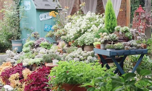 Rời bỏ thành phố, cặp vợ chồng về quê thuê 1 căn nhà cũ và cải tạo lại, sống một cách thảnh thơi- Ảnh 12. Rời bỏ thành phố, cặp vợ chồng về quê thuê 1 căn nhà cũ và cải tạo lại, sống một cách thảnh thơi- Ảnh 12.