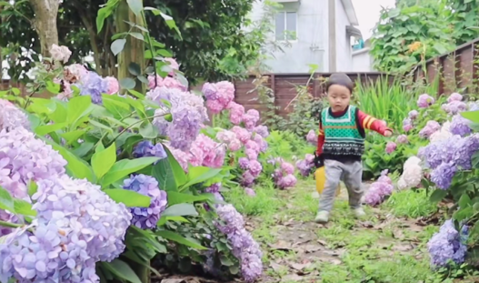 Rời bỏ thành phố, cặp vợ chồng về quê thuê 1 căn nhà cũ và cải tạo lại, sống một cách thảnh thơi- Ảnh 14. Rời bỏ thành phố, cặp vợ chồng về quê thuê 1 căn nhà cũ và cải tạo lại, sống một cách thảnh thơi- Ảnh 14.