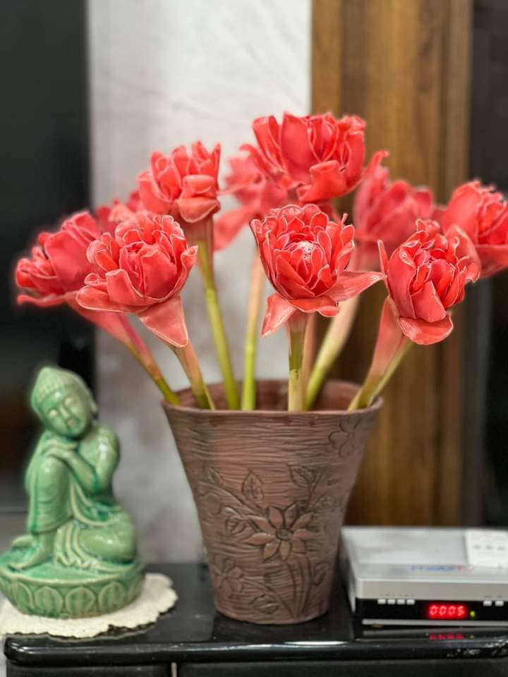 Loài hoa nghe tên đã thấy lộc lá, vừa ngắm vừa ăn được hội chị em săn lùng ngày vía Thần Tài- Ảnh 2. Loài hoa nghe tên đã thấy lộc lá, vừa ngắm vừa ăn được hội chị em săn lùng ngày vía Thần Tài- Ảnh 2.