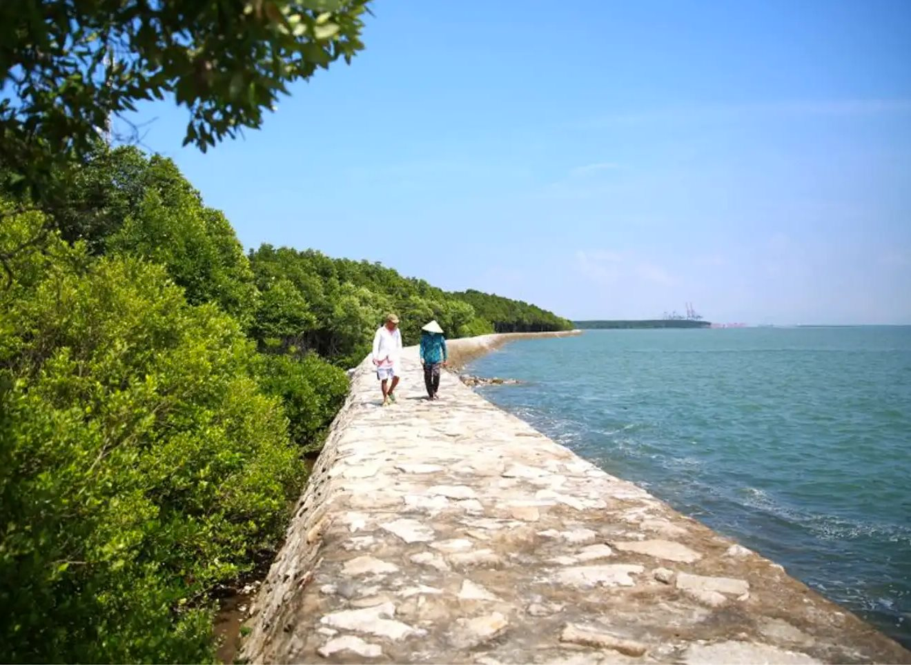 Một huyện tại Tp.HCM vừa được quy hoạch siêu dự án quảng trường quy mô hàng trăm ngàn m2 - Ảnh 1.