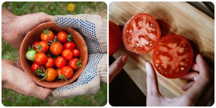 Điều gì sẽ xảy ra nếu bạn ăn một nửa quả cà chua mỗi ngày? - Ảnh 1. Điều gì sẽ xảy ra nếu bạn ăn một nửa quả cà chua mỗi ngày? - Ảnh 1.