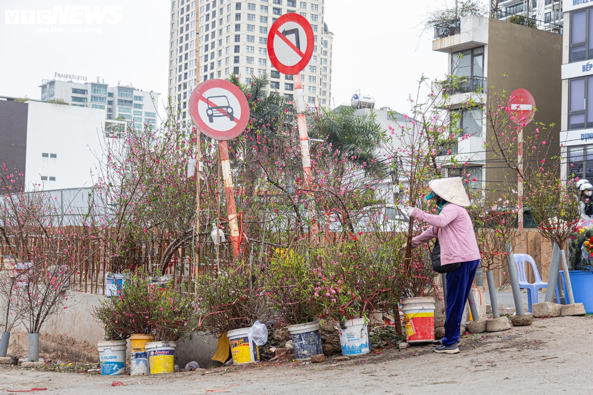 Tiểu thương 'xả' đào, quất sau Tết, bán giá rẻ như cho - Ảnh 3.