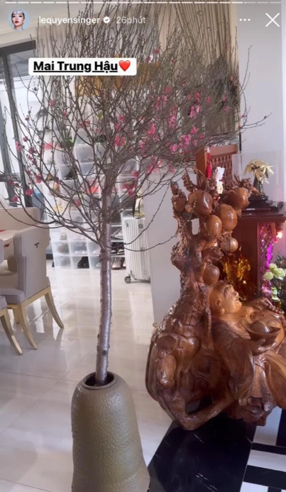 Đào huyền "hot" mọi mặt trận: Tăng Thanh Hà, Lệ Quyên, Xoài Non... cũng mê tít, chưng trong nhà vừa nghệ vừa sang- Ảnh 8.