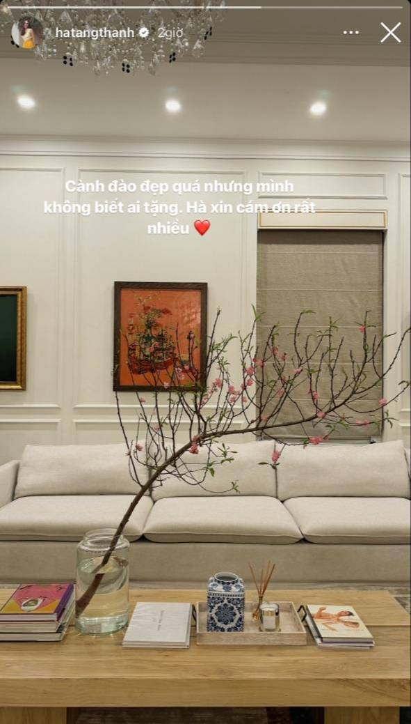 Đào huyền "hot" mọi mặt trận: Tăng Thanh Hà, Lệ Quyên, Xoài Non... cũng mê tít, chưng trong nhà vừa nghệ vừa sang- Ảnh 1.