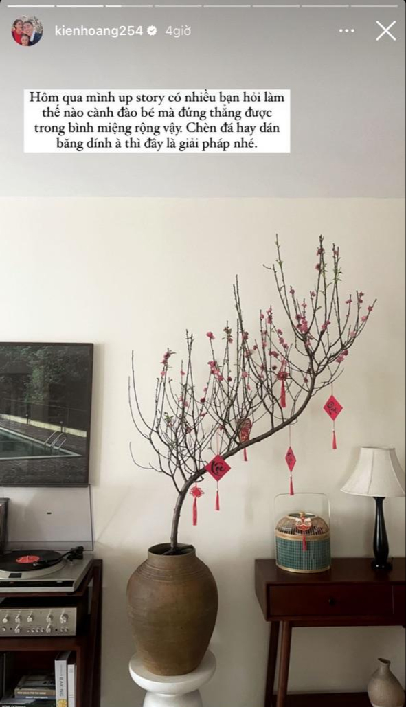 Đào huyền "hot" mọi mặt trận: Tăng Thanh Hà, Lệ Quyên, Xoài Non... cũng mê tít, chưng trong nhà vừa nghệ vừa sang- Ảnh 6.