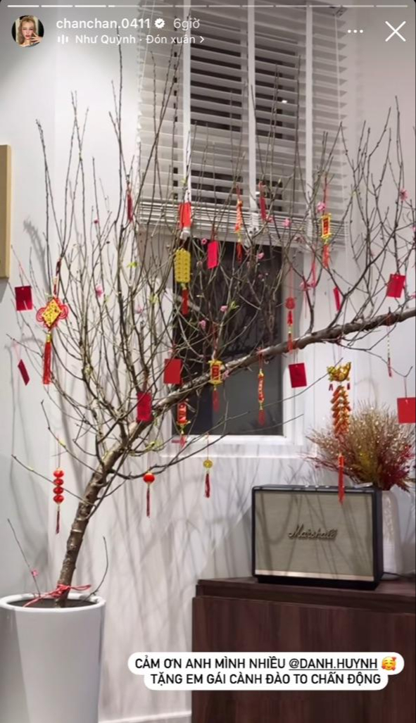 Đào huyền "hot" mọi mặt trận: Tăng Thanh Hà, Lệ Quyên, Xoài Non... cũng mê tít, chưng trong nhà vừa nghệ vừa sang- Ảnh 2.