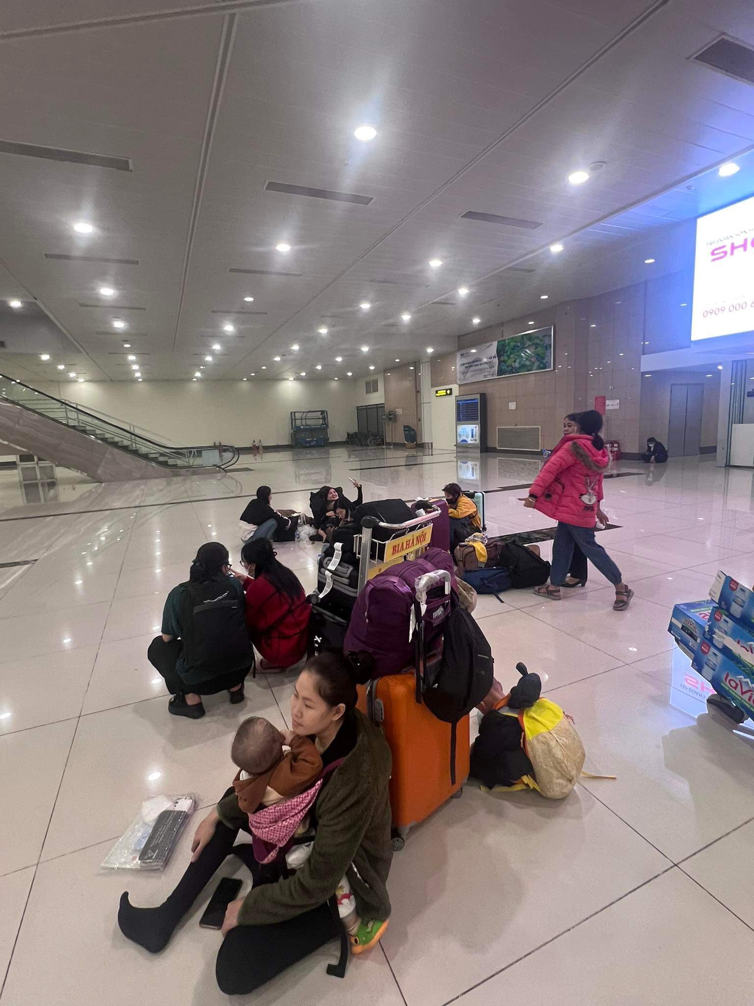 Hành khách "khóc ròng" vì chuyến bay về Vinh, đáp ở… Nội Bài- Ảnh 1.