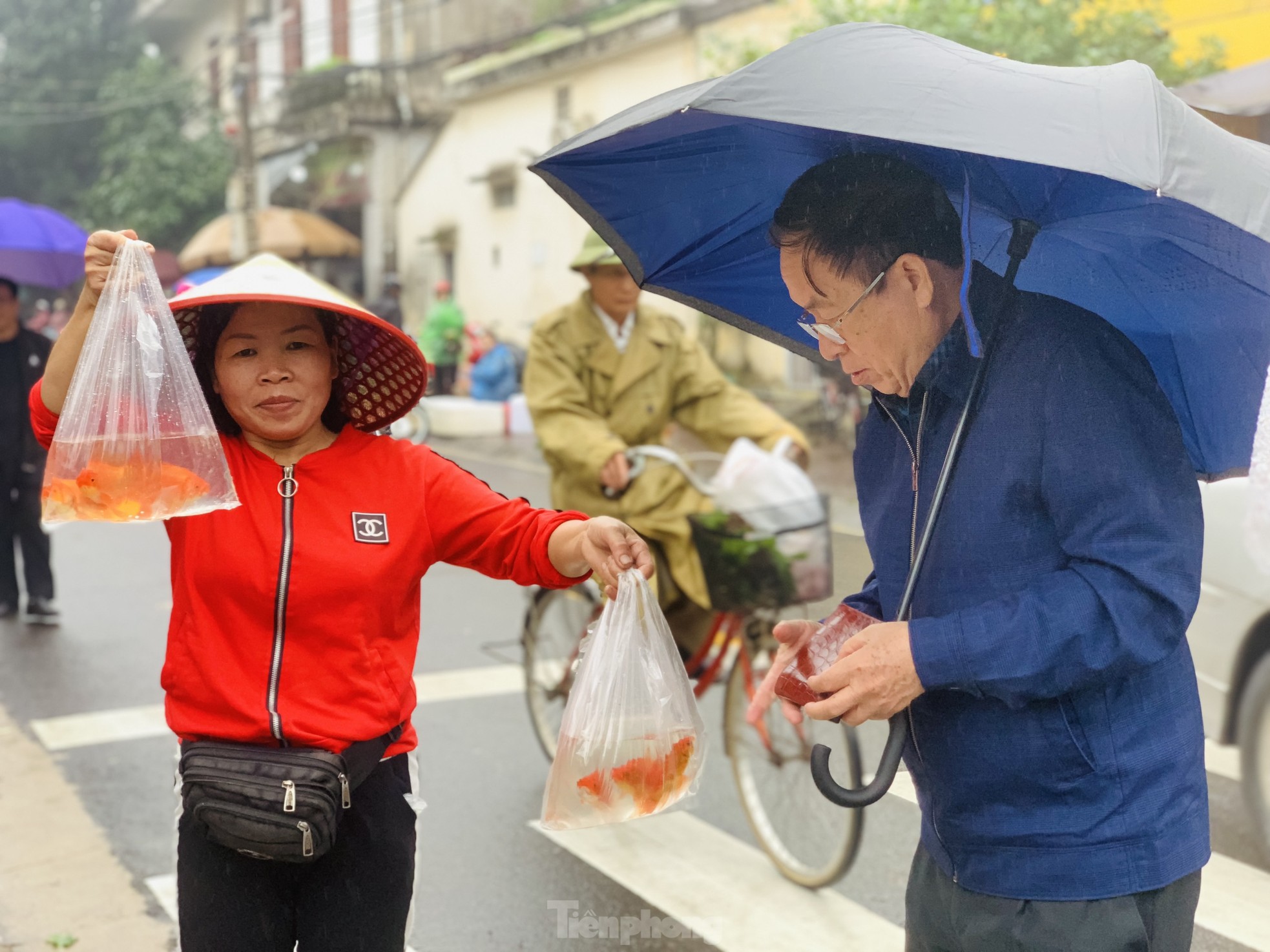 Ế 'vật cưỡi' ông Công ông Táo, dân nóng ruột chờ khách - Ảnh 2.