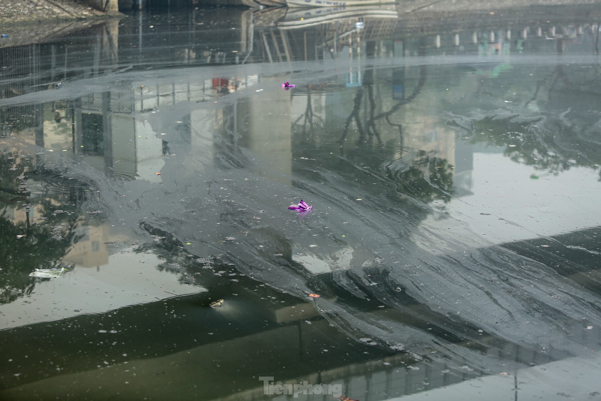 Người thả cá kẻ thả tro hương, mặt nước hồ ‘biến dị’ trong ngày ông Công ông Táo - Ảnh 11.