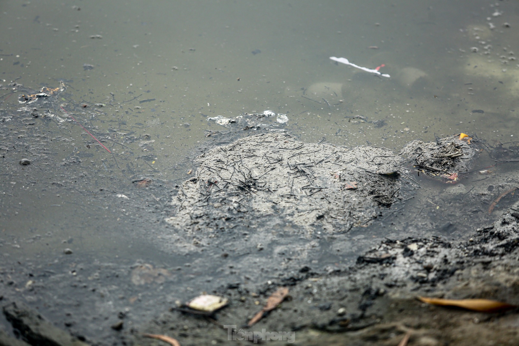 Người thả cá kẻ thả tro hương, mặt nước hồ ‘biến dị’ trong ngày ông Công ông Táo - Ảnh 12.