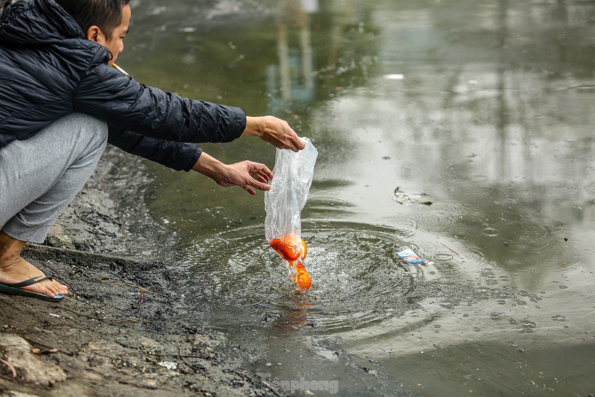 Người thả cá kẻ thả tro hương, mặt nước hồ ‘biến dị’ trong ngày ông Công ông Táo - Ảnh 19.