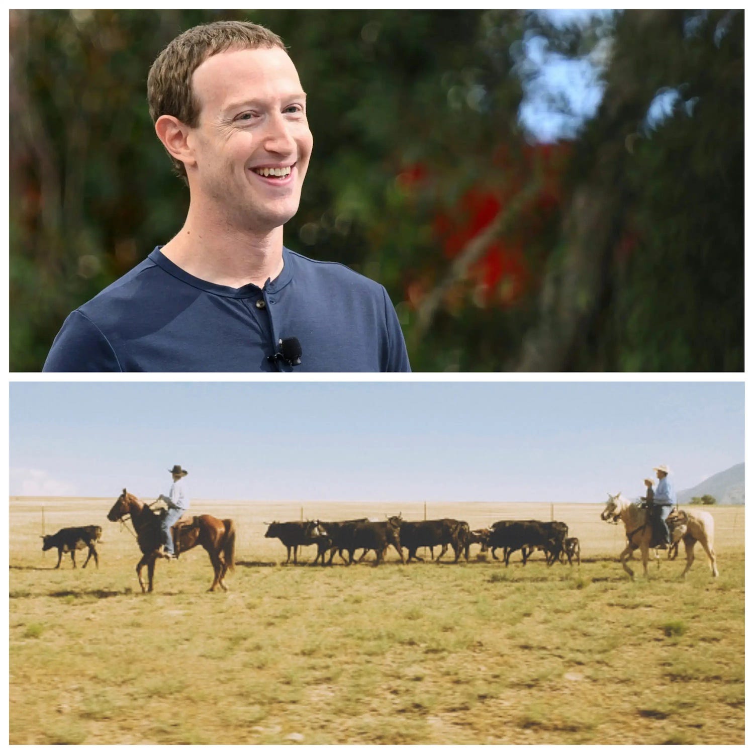 Mark Zuckerberg tiết lộ, đã có lúc con gái tưởng bố mình là người nuôi bò- Ảnh 1. Mark Zuckerberg tiết lộ, đã có lúc con gái tưởng bố mình là người nuôi bò- Ảnh 1.
