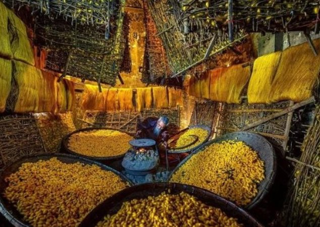 Mặt hàng chủ lực của Việt Nam được người Nga mạnh tay săn lùng: Gần một nửa thế giới ‘đặt gạch’ mua hàng, nước ta là 1 trong 3 ‘ông trùm’ của thế giới - Ảnh 1. Mặt hàng chủ lực của Việt Nam được người Nga mạnh tay săn lùng: Gần một nửa thế giới ‘đặt gạch’ mua hàng, nước ta là 1 trong 3 ‘ông trùm’ của thế giới - Ảnh 1.
