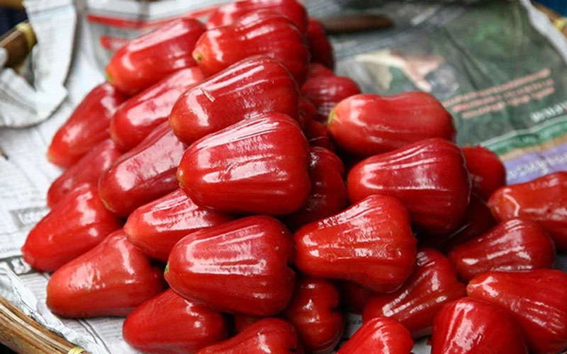 1 loại quả ngọt nhưng là “thần dược” hạ đường huyết: Ăn vào còn bổ xương, dưỡng thận hiệu quả - Ảnh 1. 1 loại quả ngọt nhưng là “thần dược” hạ đường huyết: Ăn vào còn bổ xương, dưỡng thận hiệu quả - Ảnh 1.