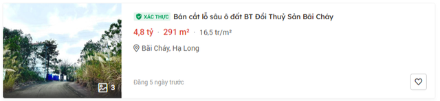 Ông lớn Big 4 rao bán biệt thự đẹp với giá chỉ từ hơn 2 tỷ đồng - Ảnh 2.