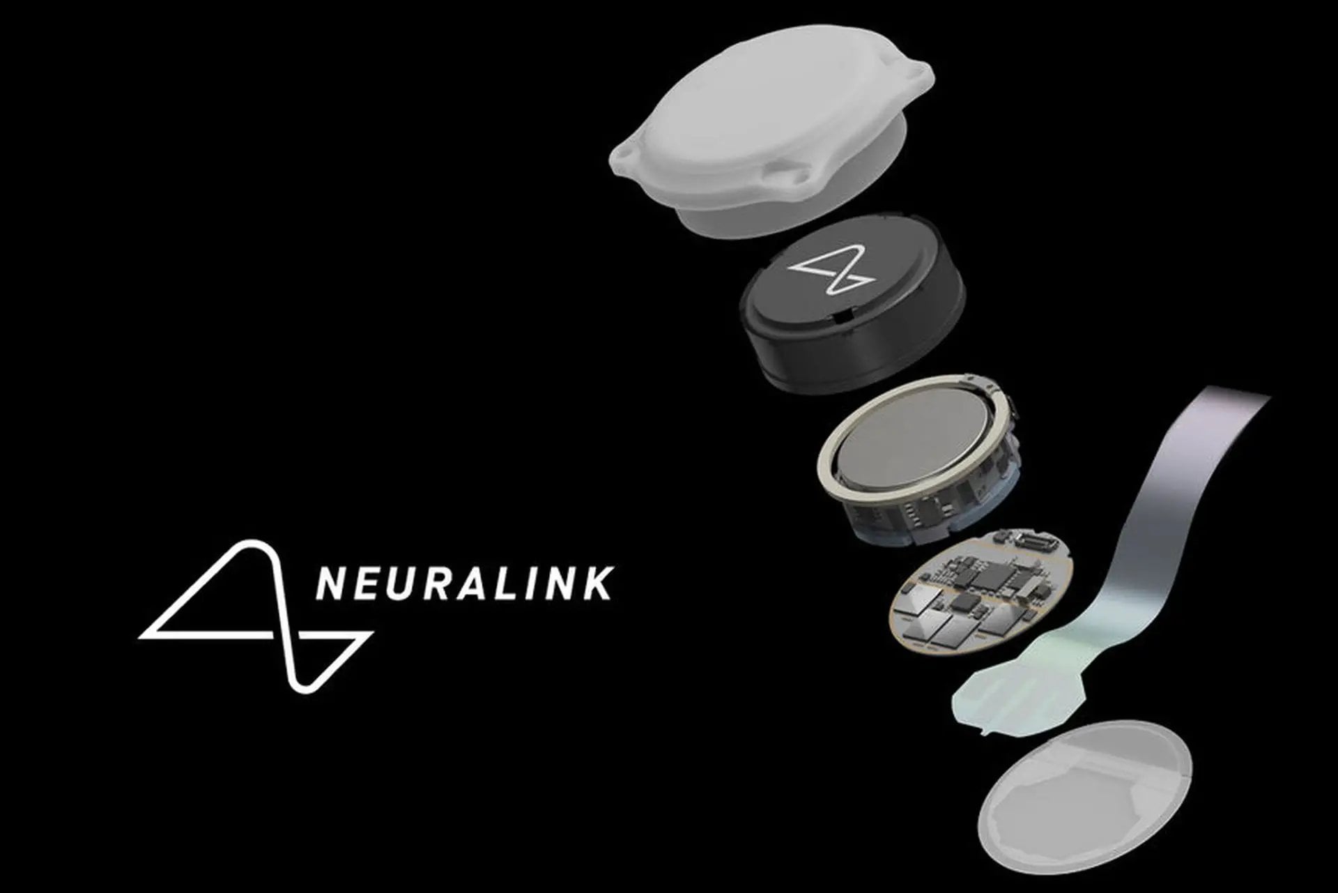 Người đầu tiên được cấy chip não Neuralink đã hồi phục, còn được bổ sung thêm "siêu năng lực" mới- Ảnh 3. Người đầu tiên được cấy chip não Neuralink đã hồi phục, còn được bổ sung thêm "siêu năng lực" mới- Ảnh 3.