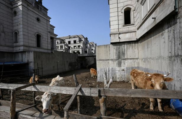 Cảnh hoang tàn bên trong ‘Thành phố ma’ Trung Quốc: Mọi thứ đổ nát, nhà để xe bị tận dụng để trữ cỏ khô, bụi phủ mờ tất cả - Ảnh 4.
