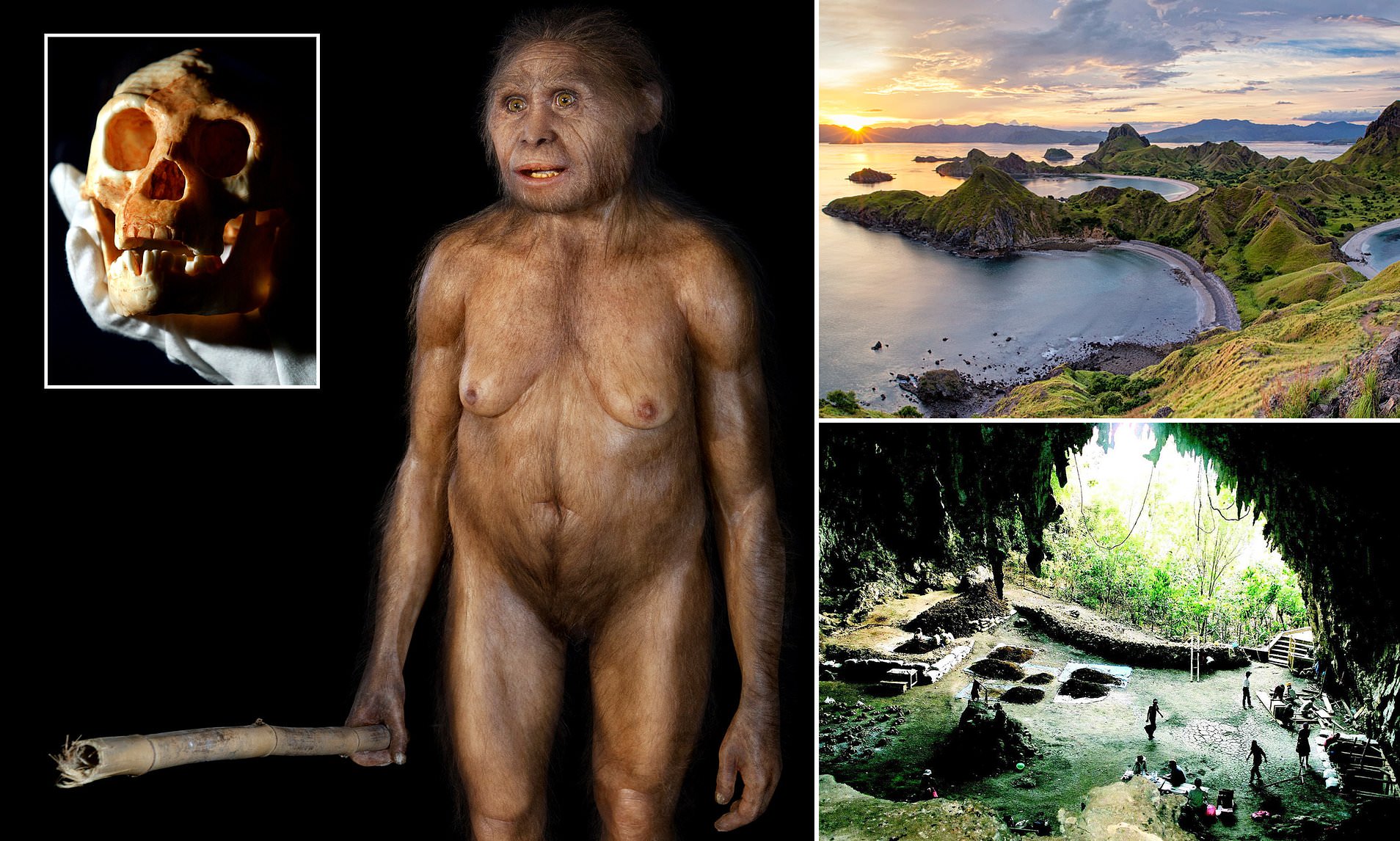 Loài người cổ đại có thể vẫn còn sống trên đảo Flores của Indonesia- Ảnh 3.