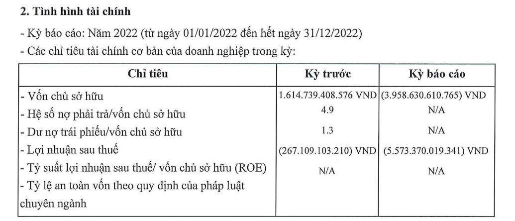 Doanh nghiệp nhận chuyển nhượng 1 phần dự án The Spirit of Saigon báo lỗ hơn 5.500 tỷ năm 2022 - Ảnh 1.