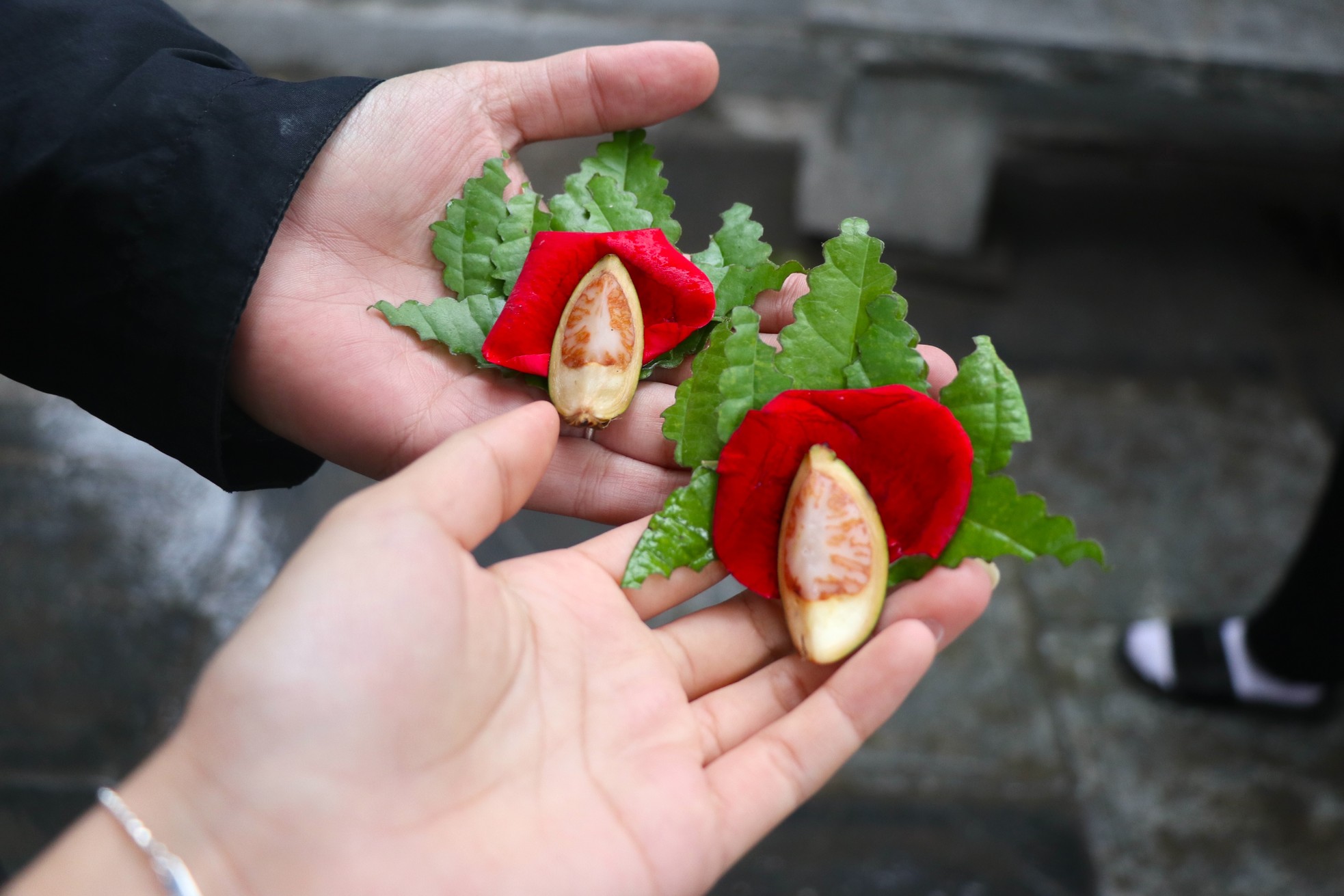 Nam thanh nữ tú đi chùa Hà cầu duyên ngày rằm tháng Giêng - Ảnh 9.