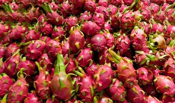 Một loại quả của Việt Nam được thị trường tỉ dân đặc biệt ưa chuộng: Người Trung Quốc tự nhận “còn phải học nông dân Việt dài dài” - Ảnh 3. Một loại quả của Việt Nam được thị trường tỉ dân đặc biệt ưa chuộng: Người Trung Quốc tự nhận “còn phải học nông dân Việt dài dài” - Ảnh 3.