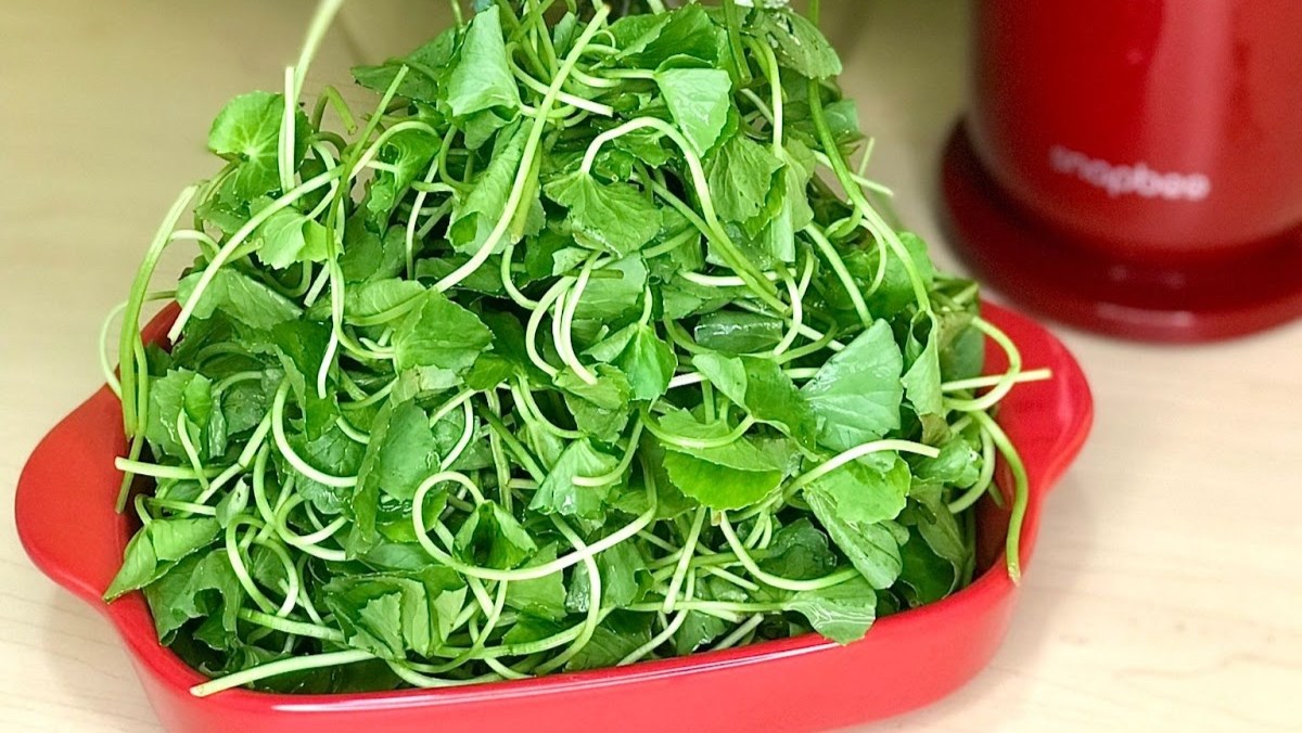 1 loại rau xanh người Ấn Độ coi là “thuốc bổ”, ở Việt Nam mọc đầy vườn: Là “insulin tự nhiên” giúp hạ đường huyết, lưu thông máu - Ảnh 2.