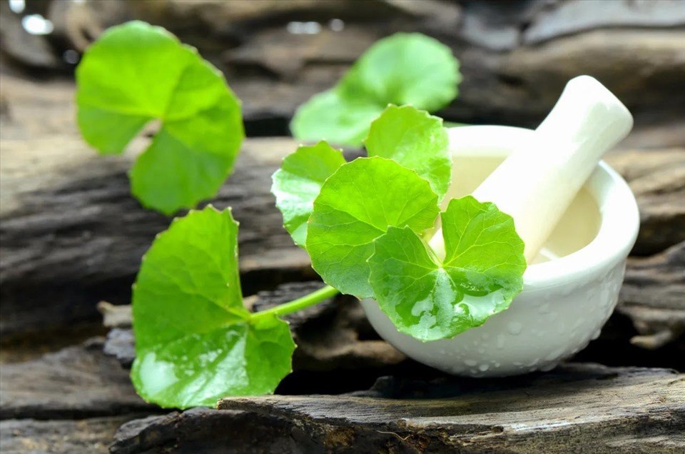 1 loại rau xanh người Ấn Độ coi là “thuốc bổ”, ở Việt Nam mọc đầy vườn: Là “insulin tự nhiên” giúp hạ đường huyết, lưu thông máu - Ảnh 1.
