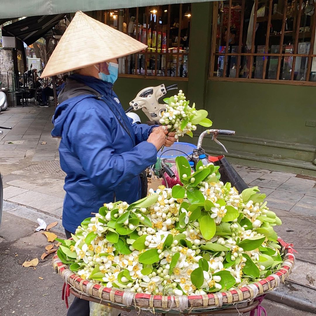 "Tháng 3 hoa bưởi", chị em đừng quên thú chơi tao nhã đầy hoài niệm của Hà Nội chỉ có ở mùa này nhé!- Ảnh 2.