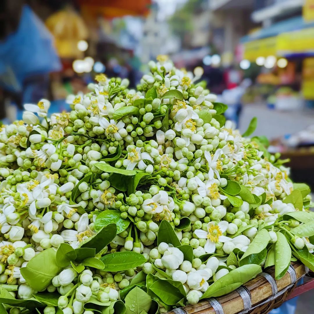 "Tháng 3 hoa bưởi", chị em đừng quên thú chơi tao nhã đầy hoài niệm của Hà Nội chỉ có ở mùa này nhé!- Ảnh 5.