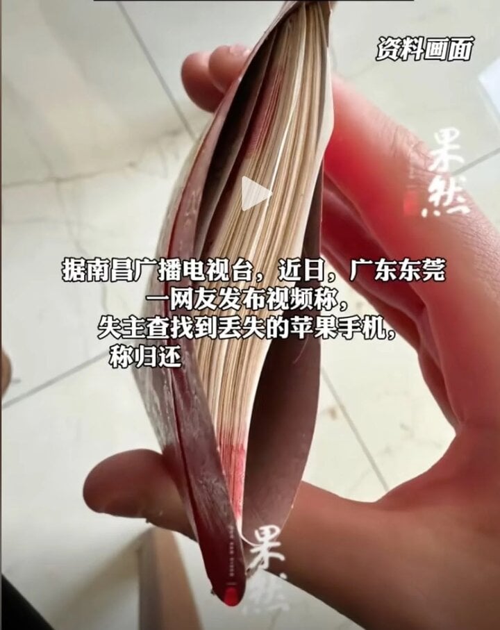 Cô gái bức xúc tố việc trả của rơi được thưởng tiền giả và sự thật bẽ mặt - Ảnh 1. Cô gái bức xúc tố việc trả của rơi được thưởng tiền giả và sự thật bẽ mặt - Ảnh 1.
