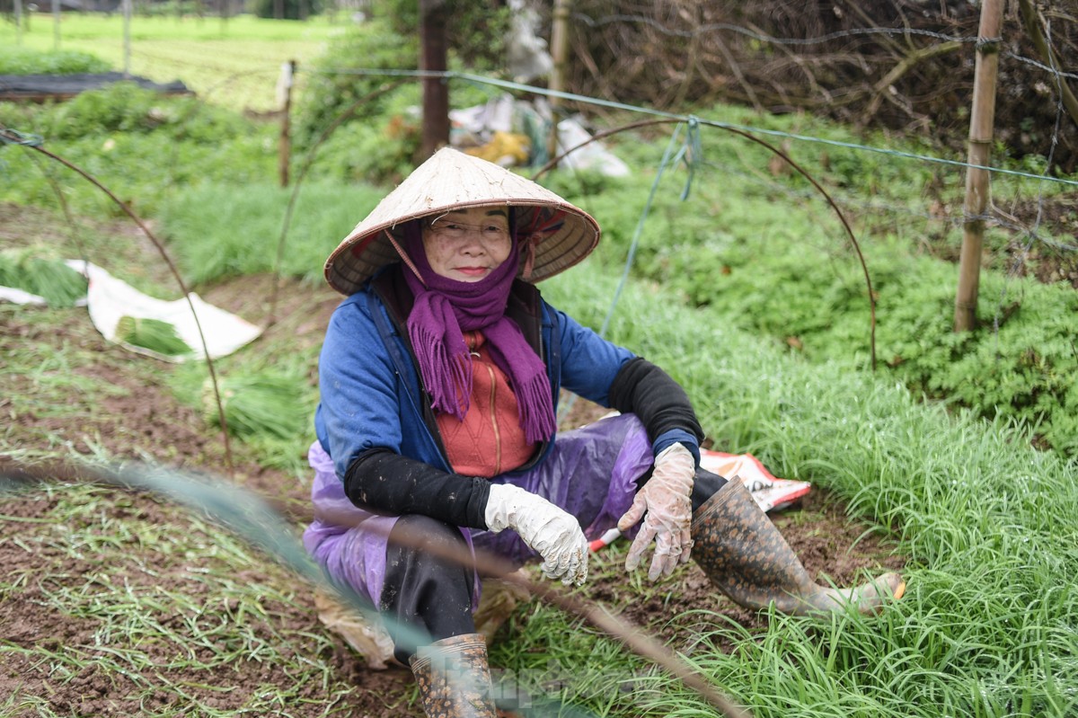 Nhịp sống người dân Thủ đô trong những ngày mưa rét dị thường - Ảnh 17.