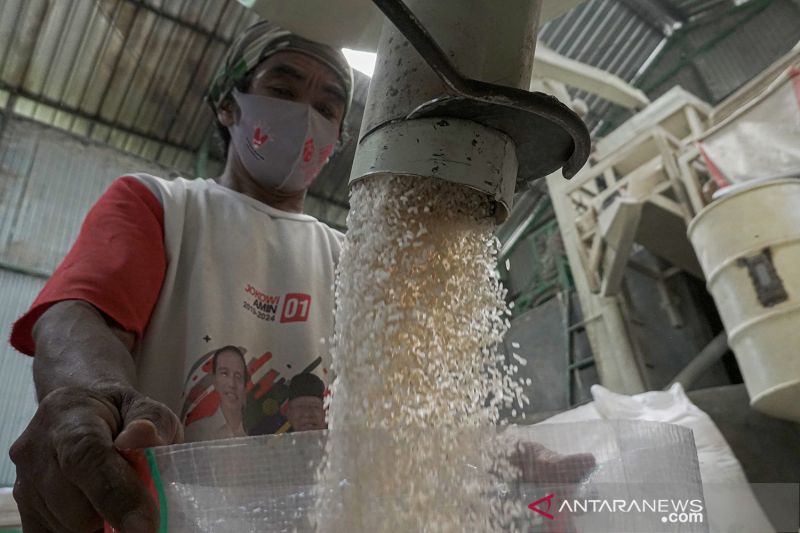 'Báu vật' 4,6 tỷ USD của Việt Nam thắng lớn, láng giềng nhận tin buồn- Ảnh 2. 'Báu vật' 4,6 tỷ USD của Việt Nam thắng lớn, láng giềng nhận tin buồn- Ảnh 2.