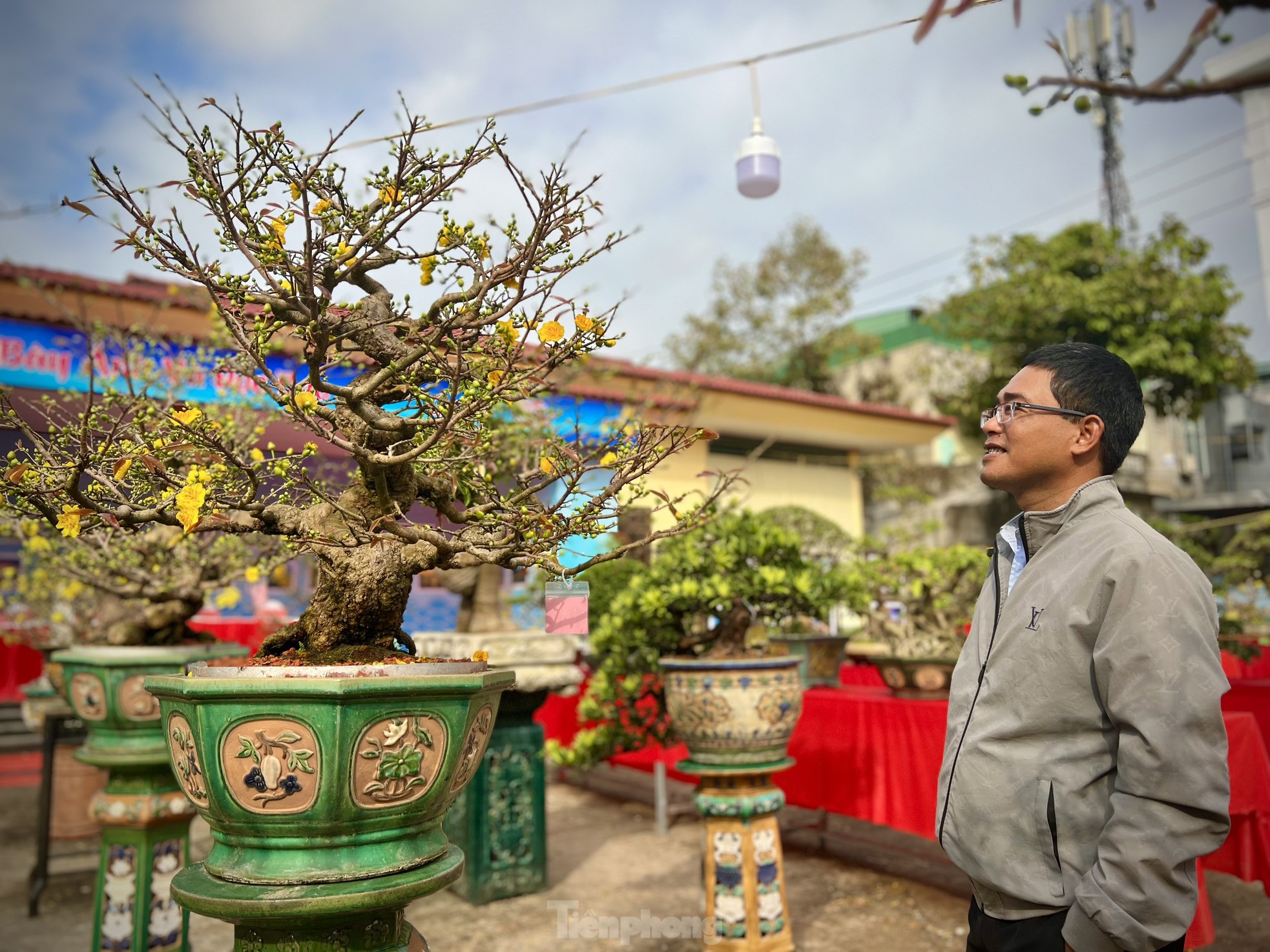 Dàn bonsai độc lạ, giá lên đến 500 triệu đồng ở Quảng Ngãi - Ảnh 16.