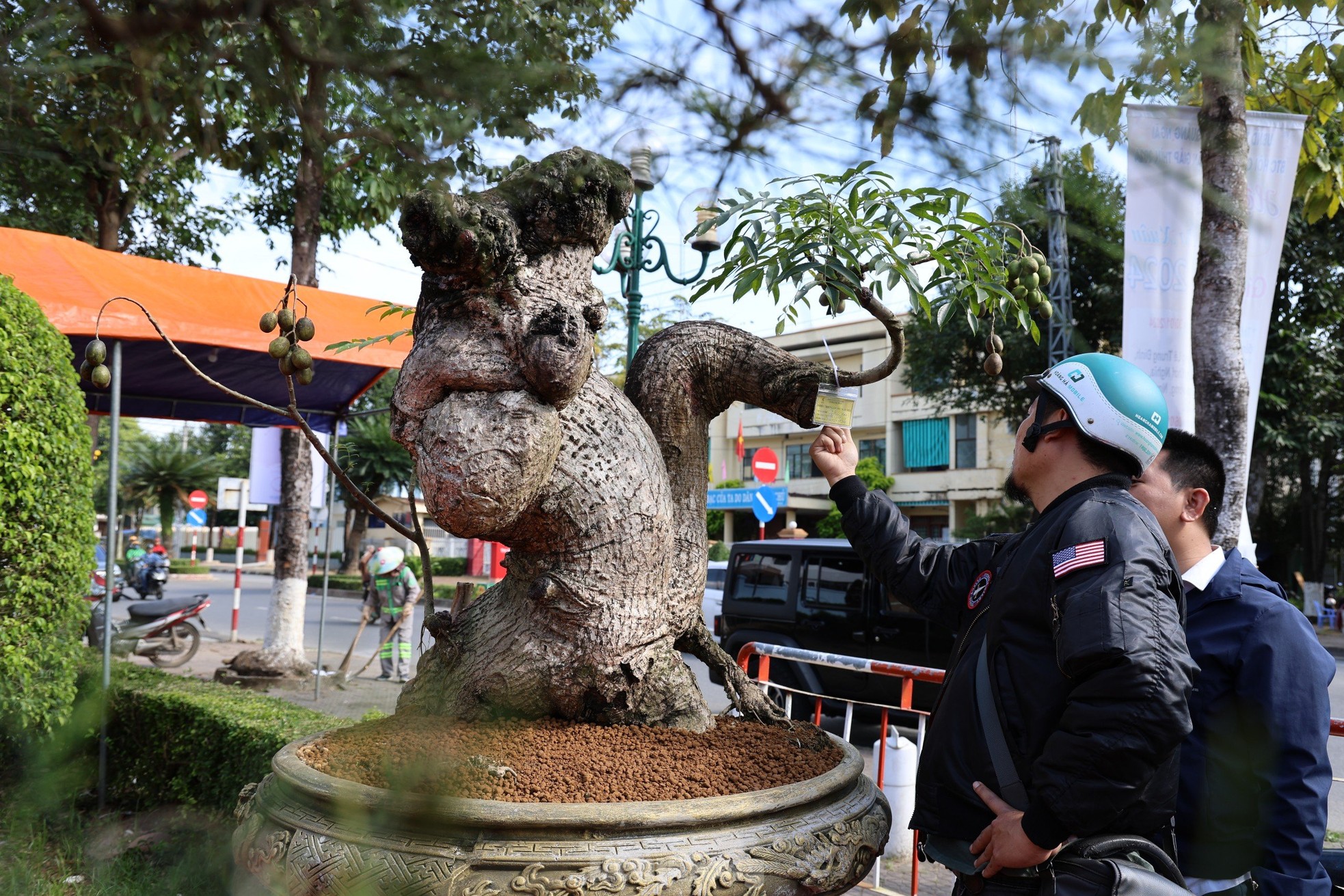 Dàn bonsai độc lạ, giá lên đến 500 triệu đồng ở Quảng Ngãi - Ảnh 7.
