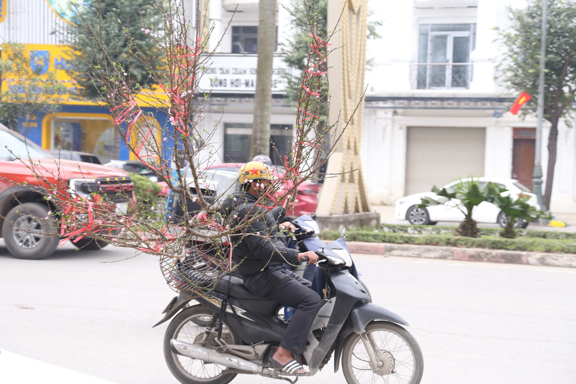 Xe ôm 'chạy show' chở đào, quất thu tiền triệu ngày giáp Tết - Ảnh 12.