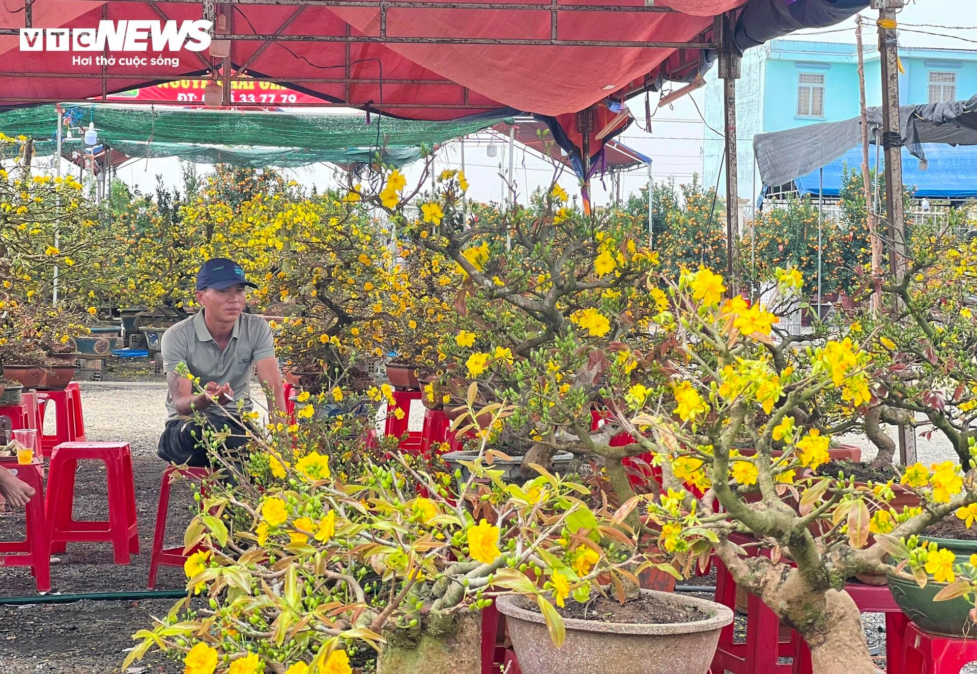 Chợ hoa Tết lớn nhất Gia Lai ảm đạm, tiểu thương 'mỏi mắt' ngóng khách - Ảnh 4.