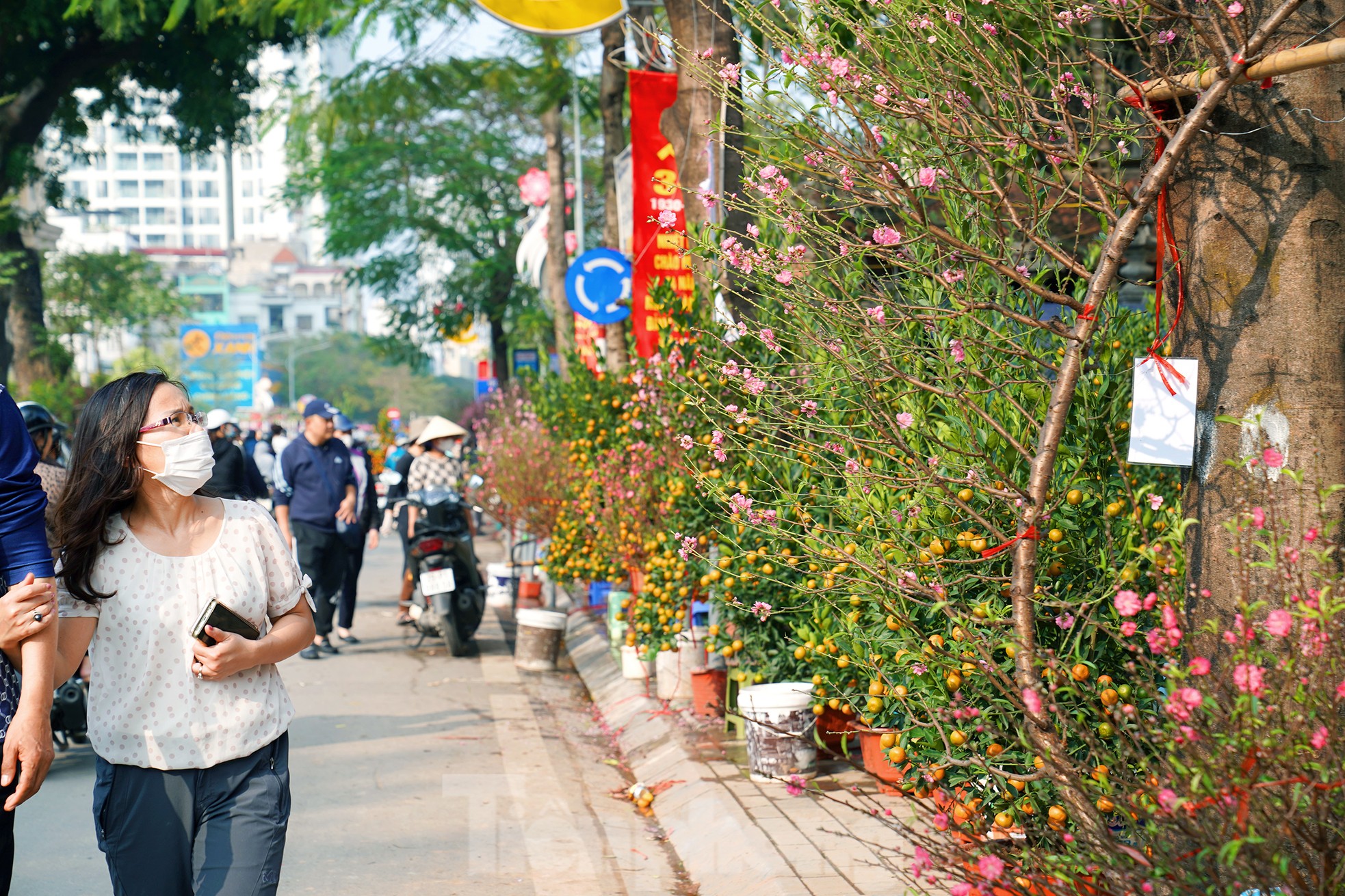 Đào quất 'ê hề', tiểu thương quyết không hạ giá dù sức mua kém - Ảnh 2. Đào quất 'ê hề', tiểu thương quyết không hạ giá dù sức mua kém - Ảnh 2.