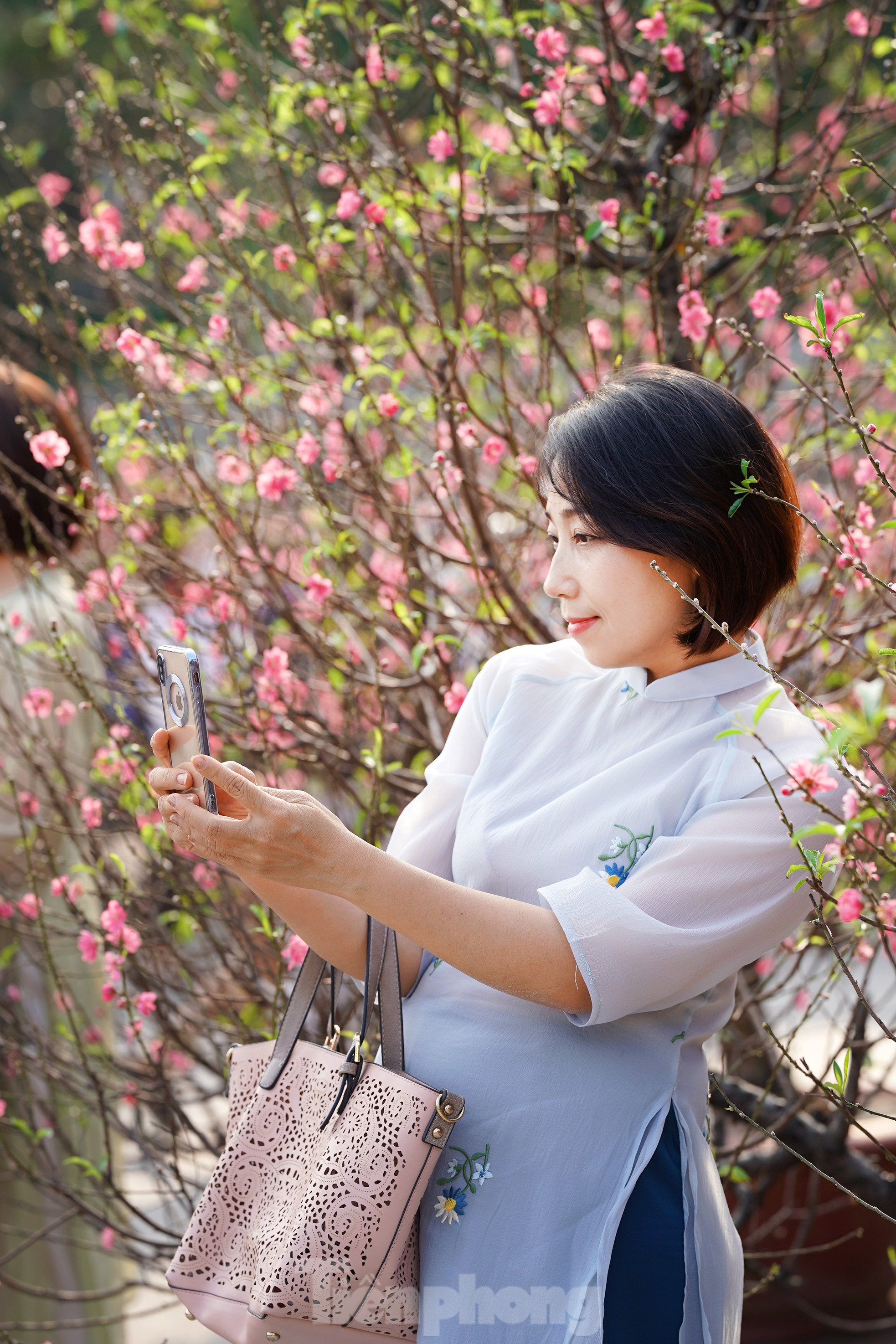 Đào quất 'ê hề', tiểu thương quyết không hạ giá dù sức mua kém - Ảnh 14. Đào quất 'ê hề', tiểu thương quyết không hạ giá dù sức mua kém - Ảnh 14.