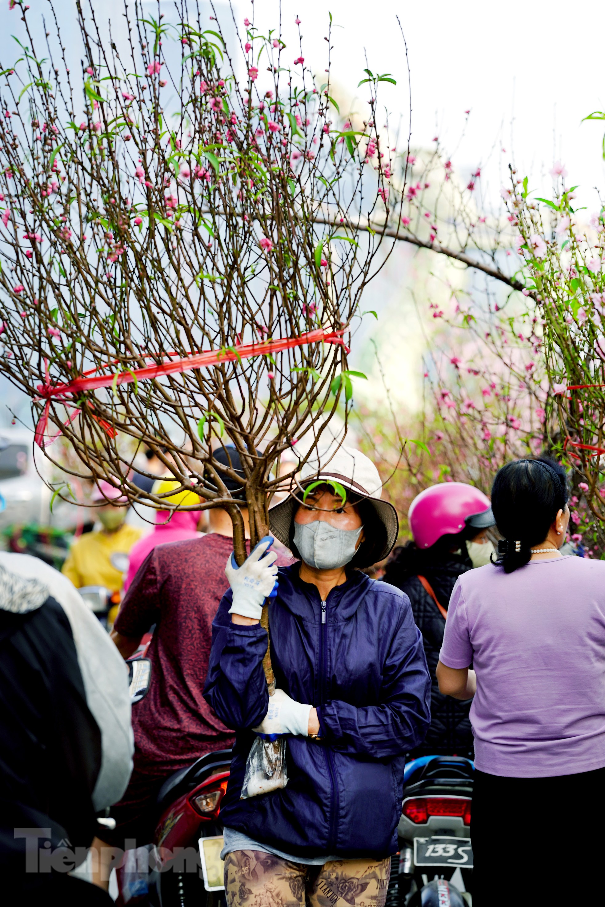 Đào quất 'ê hề', tiểu thương quyết không hạ giá dù sức mua kém - Ảnh 5. Đào quất 'ê hề', tiểu thương quyết không hạ giá dù sức mua kém - Ảnh 5.