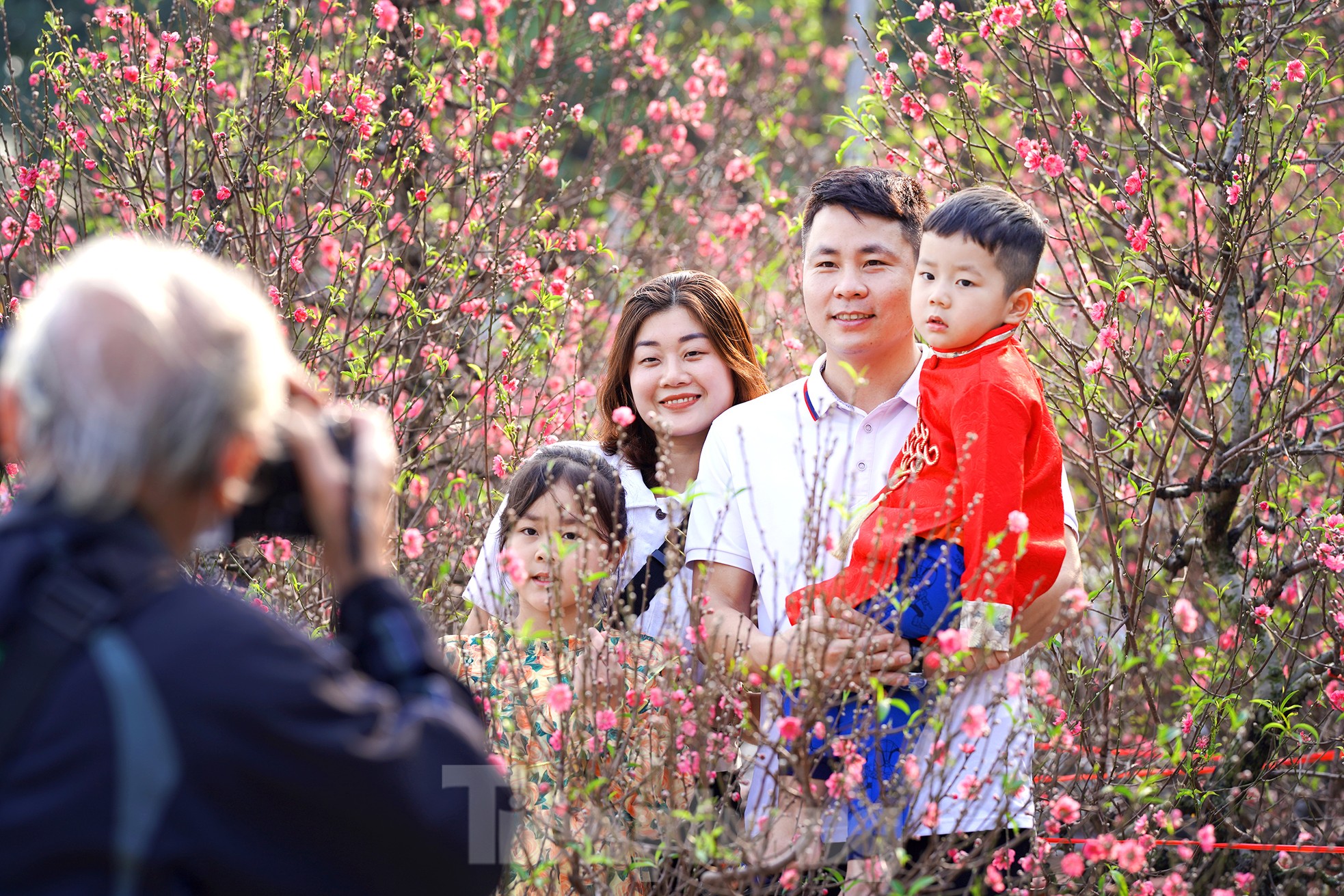Đào quất 'ê hề', tiểu thương quyết không hạ giá dù sức mua kém - Ảnh 17. Đào quất 'ê hề', tiểu thương quyết không hạ giá dù sức mua kém - Ảnh 17.