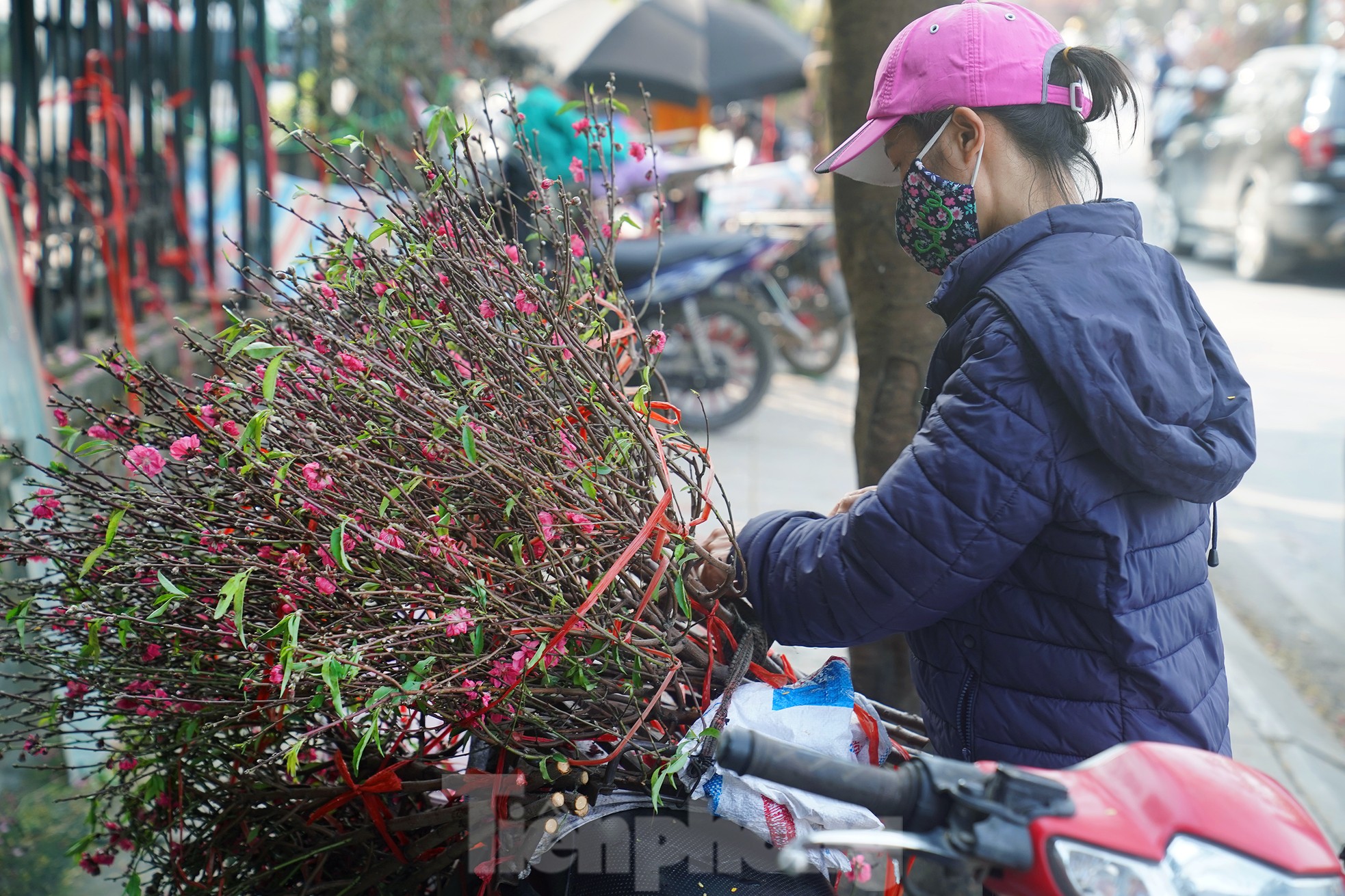 Đào quất 'ê hề', tiểu thương quyết không hạ giá dù sức mua kém - Ảnh 8. Đào quất 'ê hề', tiểu thương quyết không hạ giá dù sức mua kém - Ảnh 8.