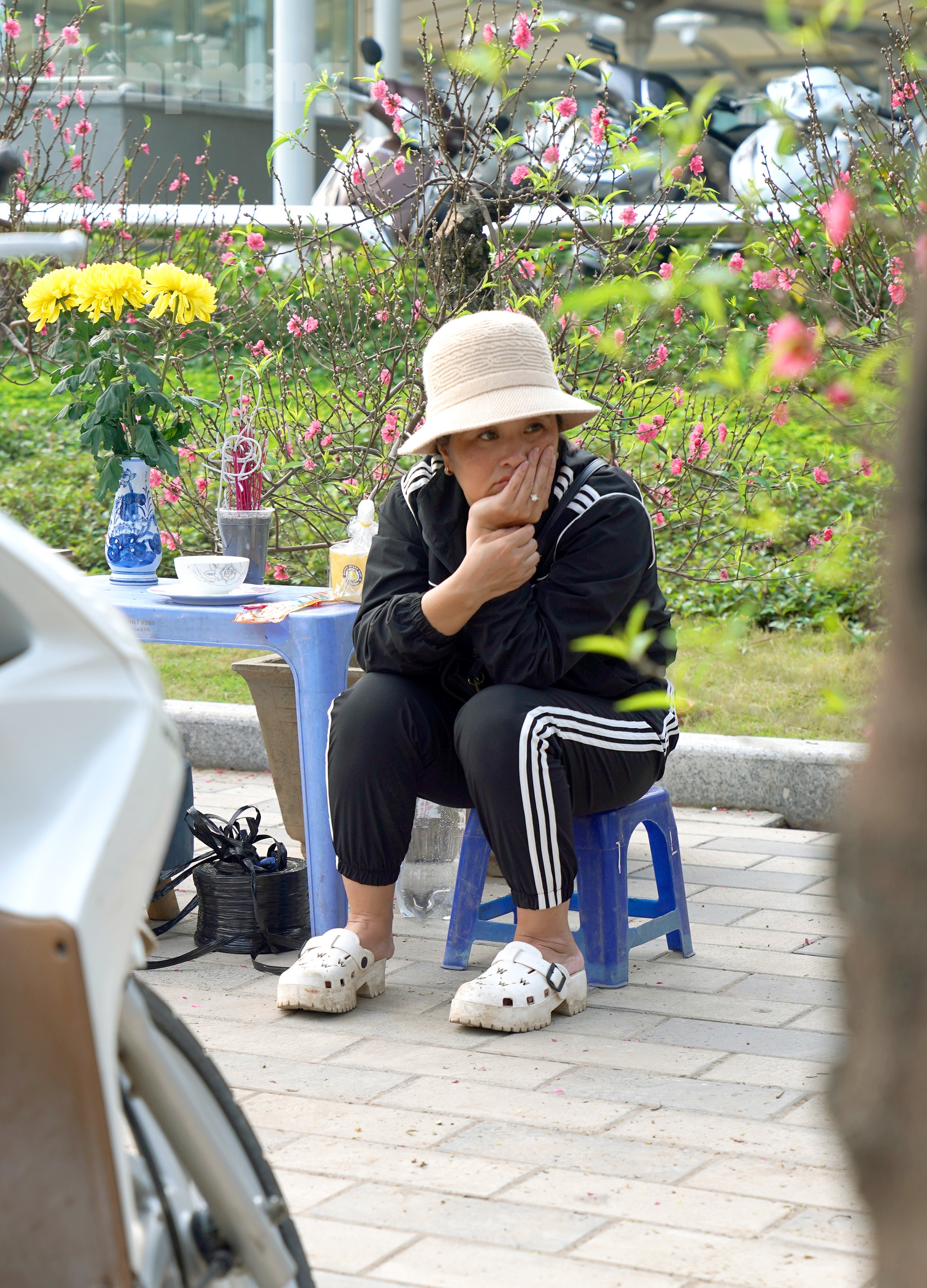 Đào quất 'ê hề', tiểu thương quyết không hạ giá dù sức mua kém - Ảnh 20. Đào quất 'ê hề', tiểu thương quyết không hạ giá dù sức mua kém - Ảnh 20.