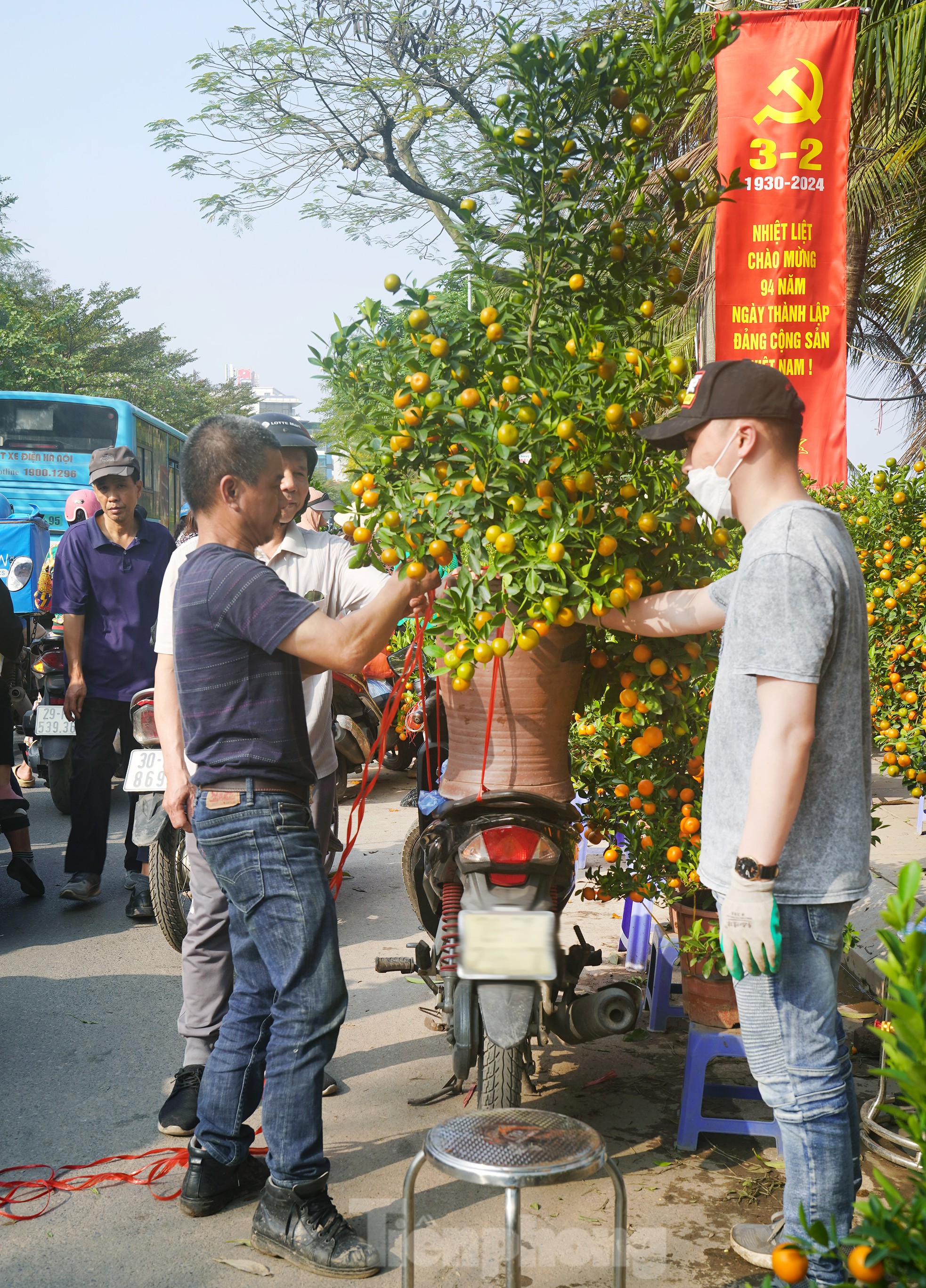 Đào quất 'ê hề', tiểu thương quyết không hạ giá dù sức mua kém - Ảnh 10. Đào quất 'ê hề', tiểu thương quyết không hạ giá dù sức mua kém - Ảnh 10.